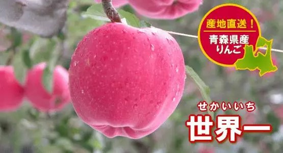 B体育·(中国)官方网站天价草莓每颗1万4千块！细数日本的中高端水果系列(图1)